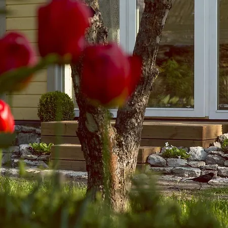 別荘 Kaevu House パルヌ