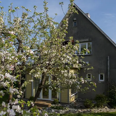 沙井度假屋 * 派尔努