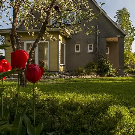 Kaevu House * パルヌ