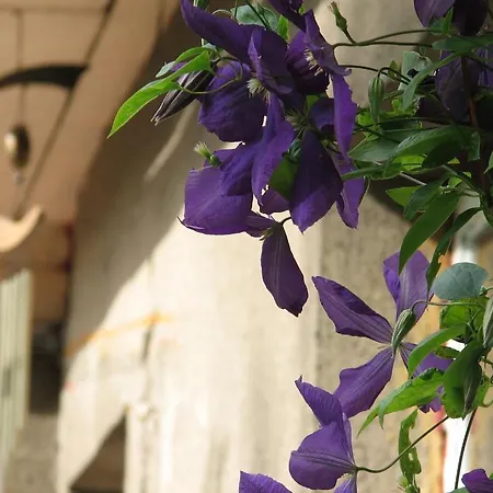 Kaevu House 別荘 *