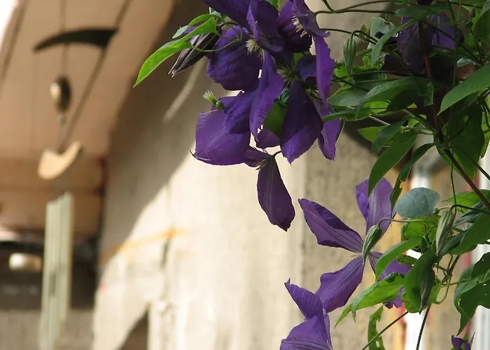 沙井度假屋 度假居 *